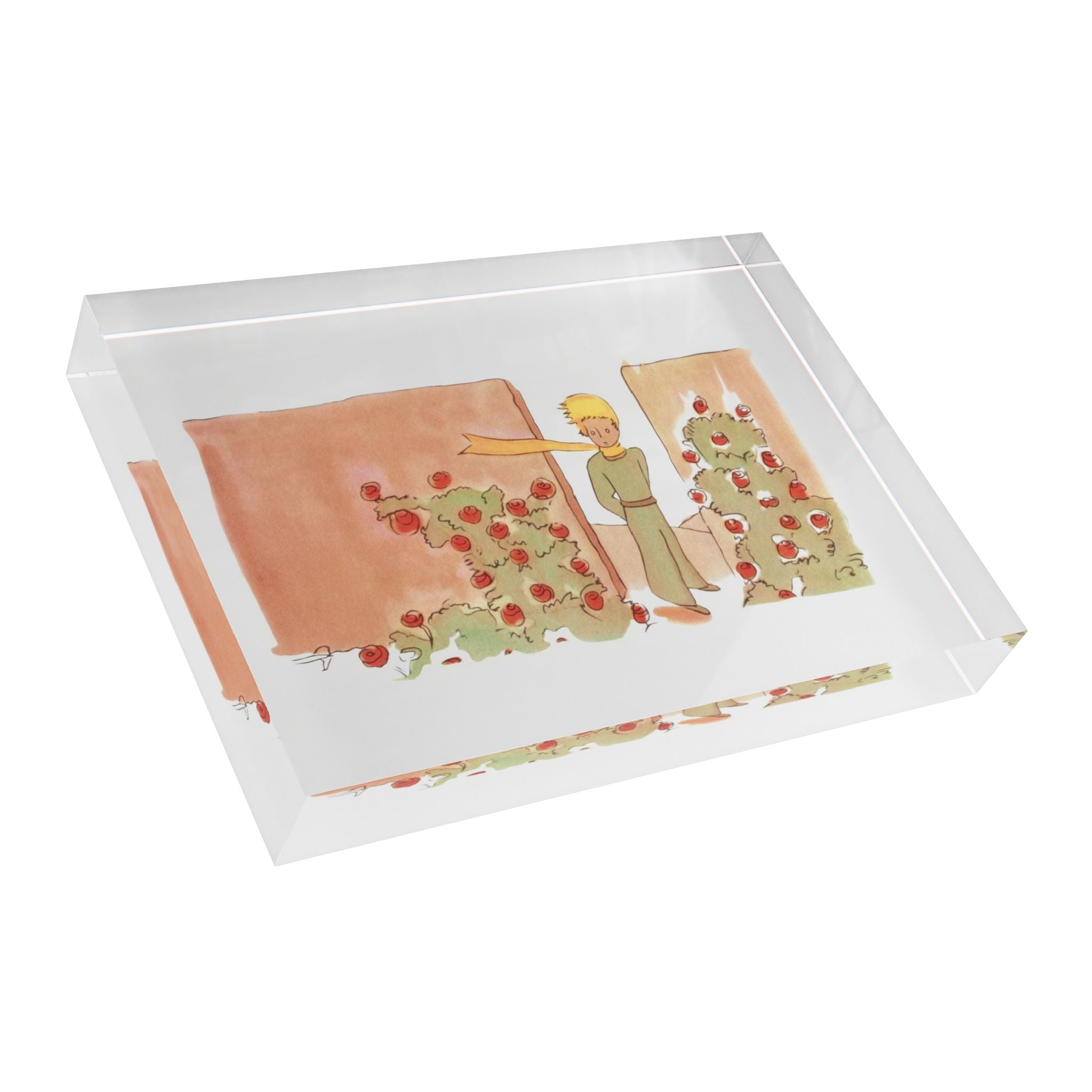 Acrylic Le Petit Prince Photo