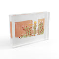 Acrylic Le Petit Prince Photo