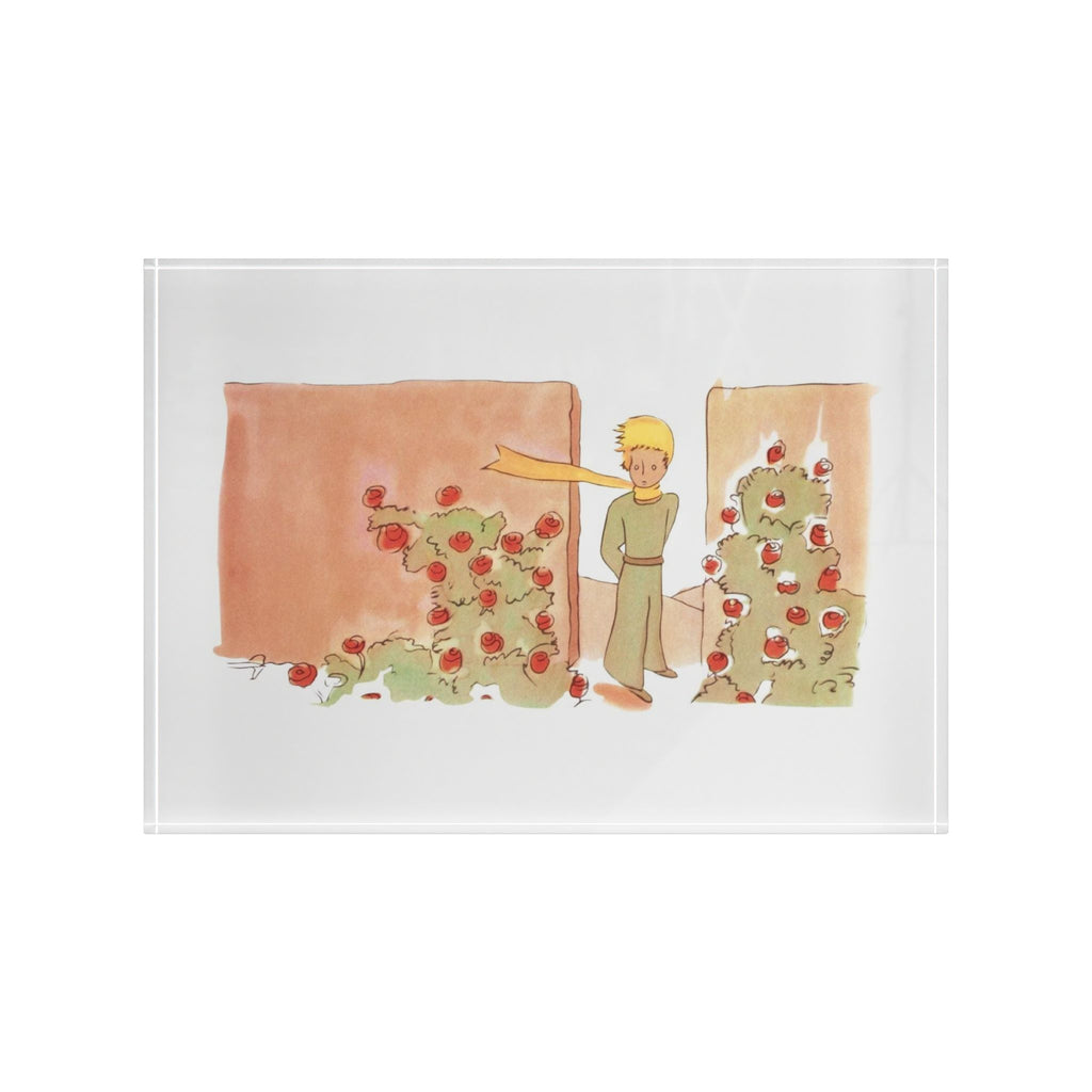 Acrylic Le Petit Prince Photo